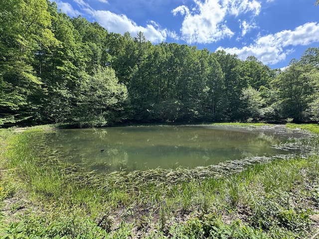 283 Dyestone Springs Rd, Hohenwald, TN 38462 - water view featuring a heavily wooded area