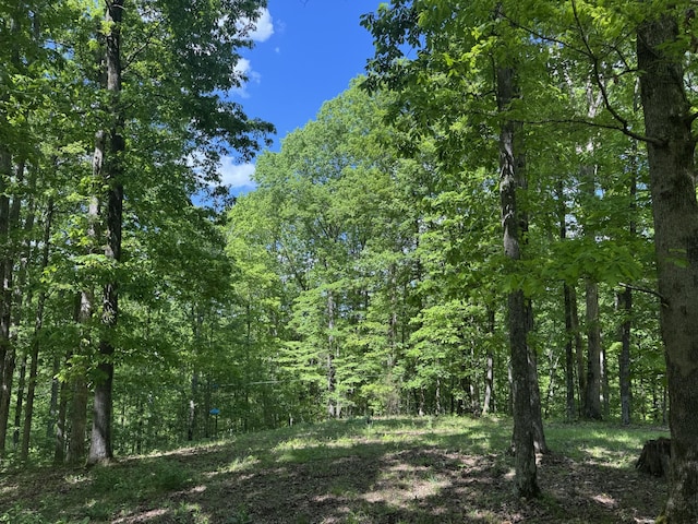 283 Dyestone Springs Rd, Hohenwald, TN 38462 - view of woods