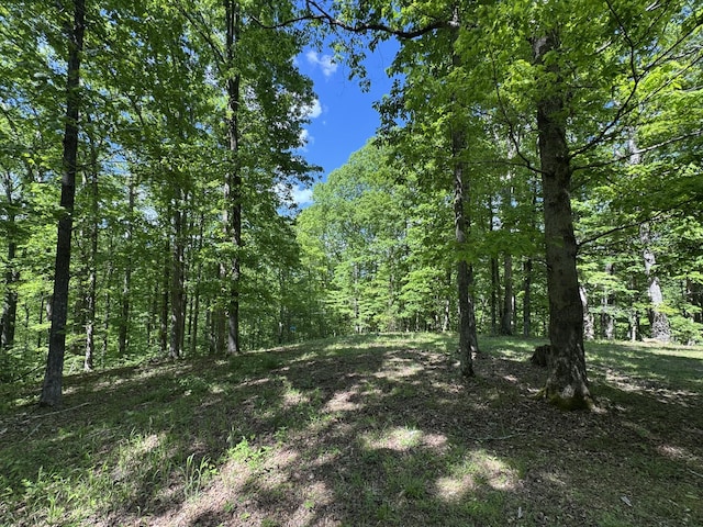 283 Dyestone Springs Rd, Hohenwald, TN 38462 - view of woods