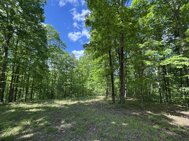 283 Dyestone Springs Rd, Hohenwald, TN 38462 - view of wooded area