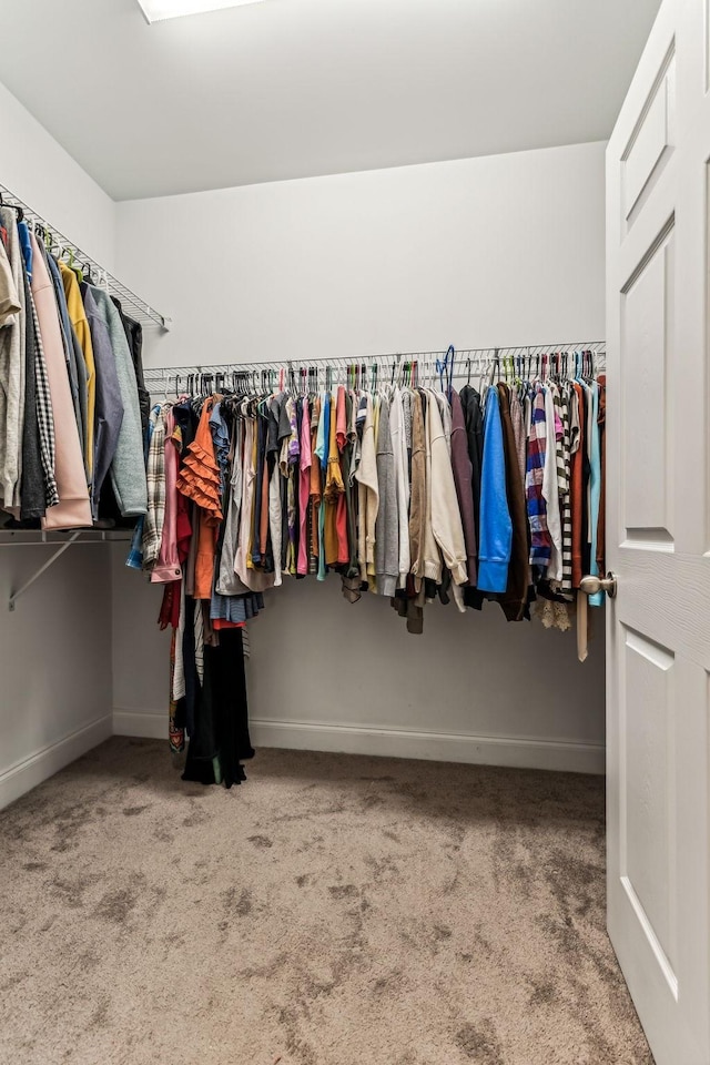 walk in closet featuring carpet floors