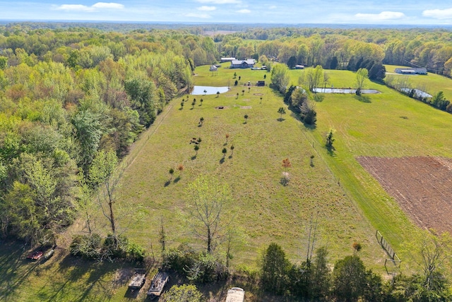 779 Iron Workers Rd W, Clarksville, TN 37043 - birds eye view of property with a rural view