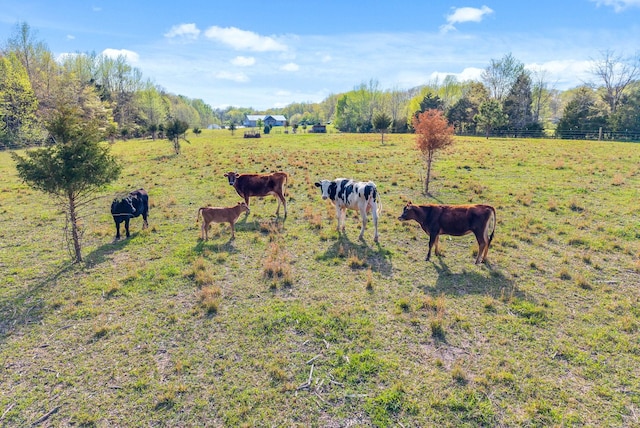 779 Iron Workers Rd W, Clarksville, TN 37043 - view of yard featuring a rural view and fence
