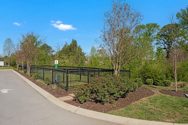 162 Jackson Alan Dr, Murfreesboro, TN 37130 - view of community