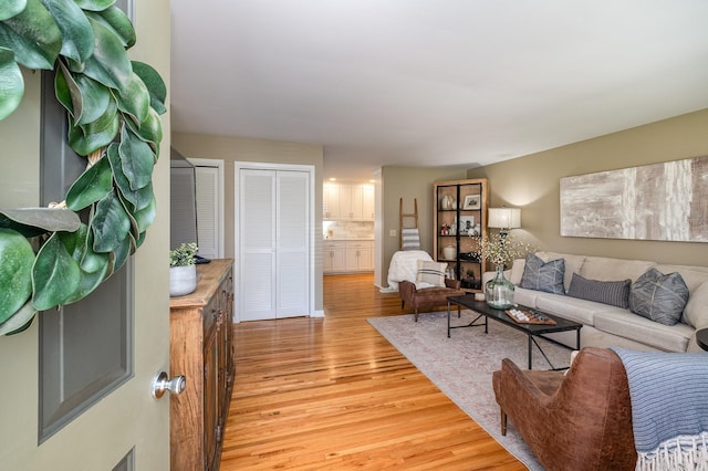 living room featuring light wood-type flooring