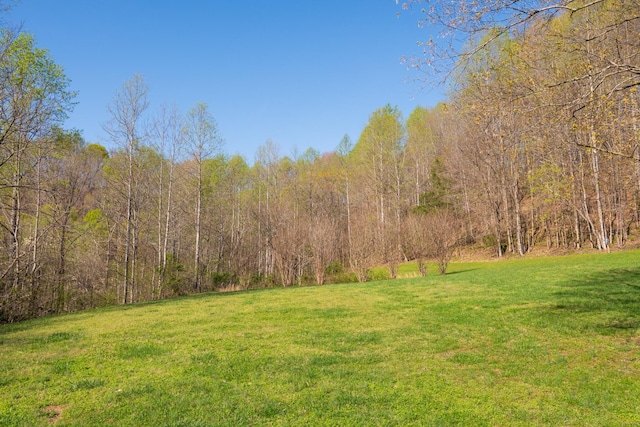 view of yard with a view of trees