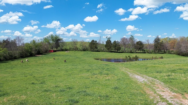 view of yard featuring a water view