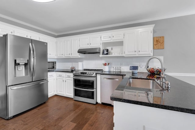 kitchen with under cabinet range hood, a sink, ornamental molding, and stainless steel appliances