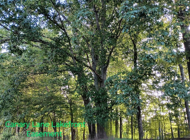0 Canary Ln, Estill Springs, TN 37330 - photo 5