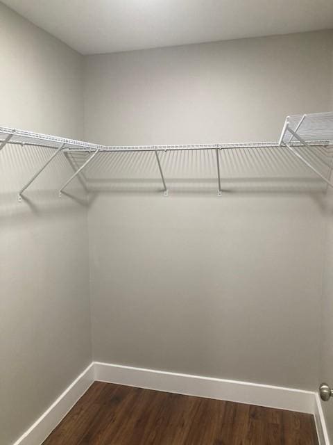 walk in closet with dark wood finished floors