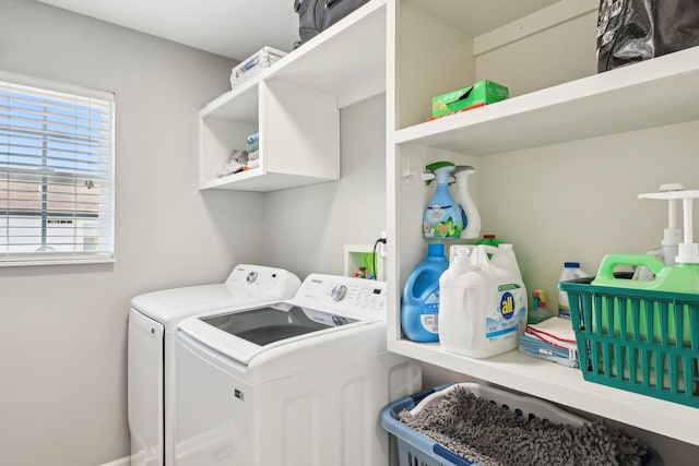 245 Wisteria Dr, Franklin, TN 37064 - washroom featuring independent washer and dryer and laundry area