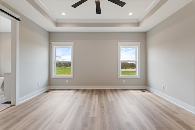 empty room featuring plenty of natural light, light wood-style floors, and a tray ceiling