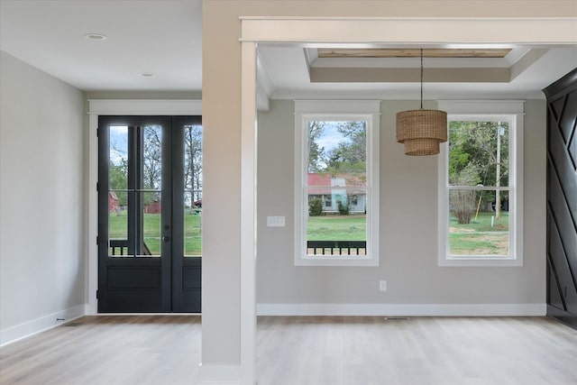 foyer entrance with light wood finished floors, a raised ceiling, and a healthy amount of sunlight