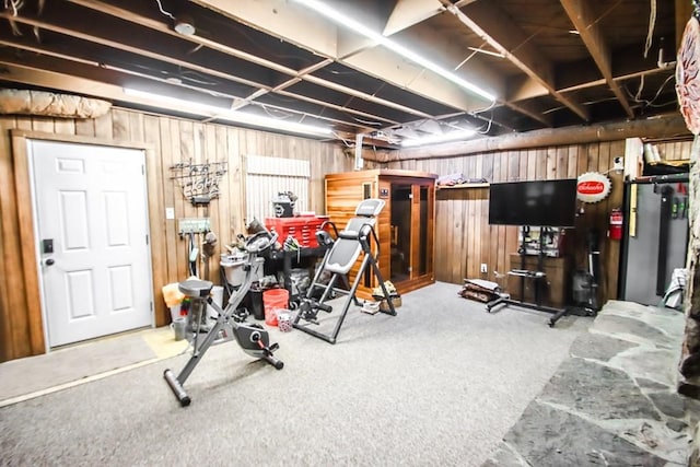 exercise area with wooden walls and carpet floors