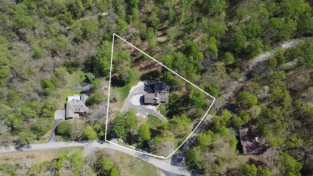 drone / aerial view