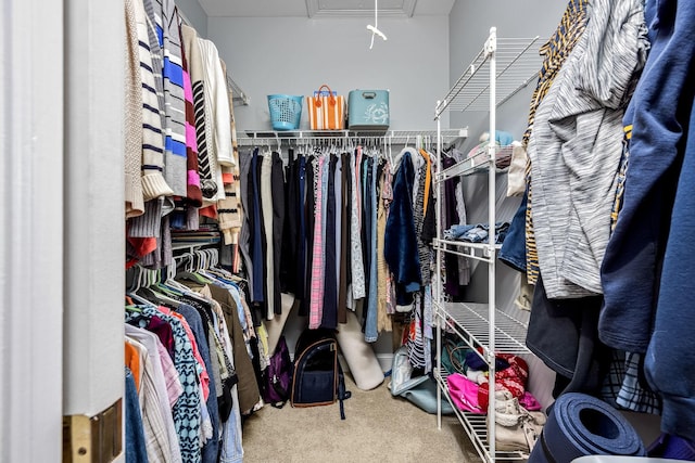 walk in closet featuring attic access and carpet floors