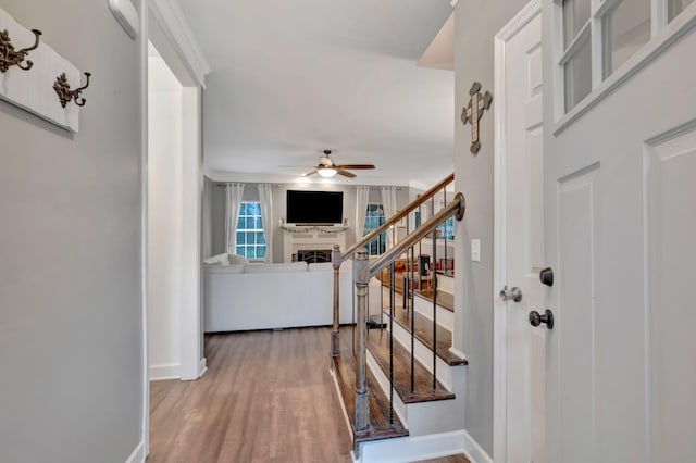 foyer featuring ceiling fan, wood finished floors, baseboards, and a fireplace