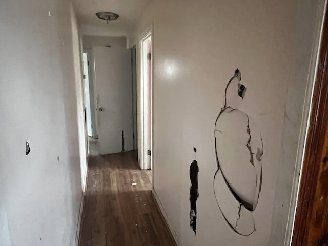 hall featuring wood finished floors