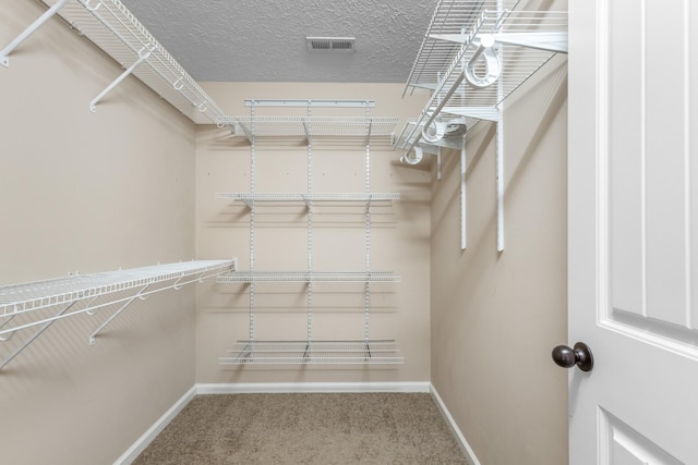 1995 General Neyland Dr, Clarksville, TN 37042 - spacious closet featuring visible vents and carpet