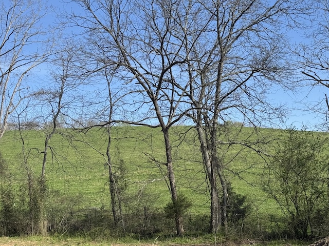 1550 Old Gallatin Rd, Portland, TN 37148 - photo 47