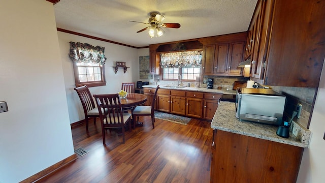 2519 Old Greenbrier Pike, Greenbrier, TN 37073 - kitchen featuring visible vents, baseboards, a sink, dark wood-style flooring, and a ceiling fan