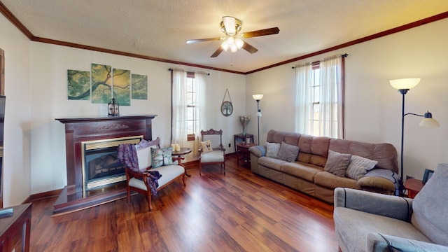 2519 Old Greenbrier Pike, Greenbrier, TN 37073 - living room featuring a wealth of natural light, a glass covered fireplace, and wood finished floors