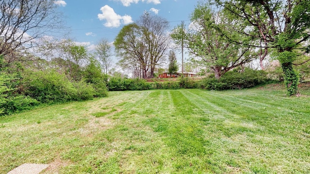 view of yard