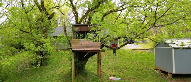 view of yard with a storage shed and an outdoor structure