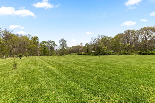 6012 Bethlehem Rd, Springfield, TN 37172 - photo 64