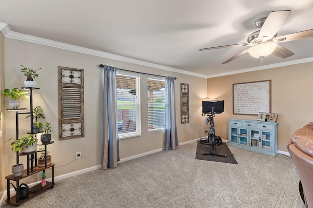 1010 Werner Dr, Hendersonville, TN 37075 - photo 9