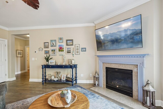 1702 Stoney Hill Ln, Spring Hill, TN 37174 - living area with a fireplace with flush hearth, baseboards, wood finished floors, and crown molding
