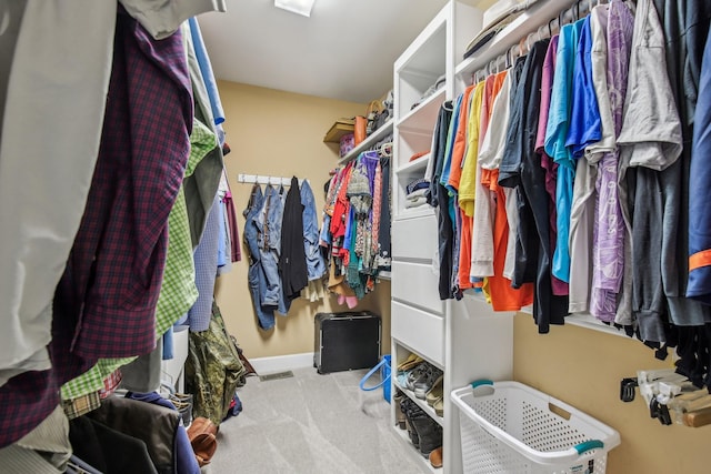 1702 Stoney Hill Ln, Spring Hill, TN 37174 - walk in closet with carpet floors