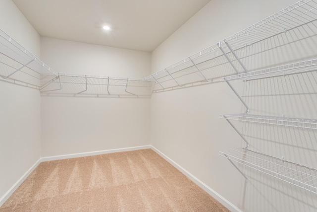 spacious closet featuring carpet floors