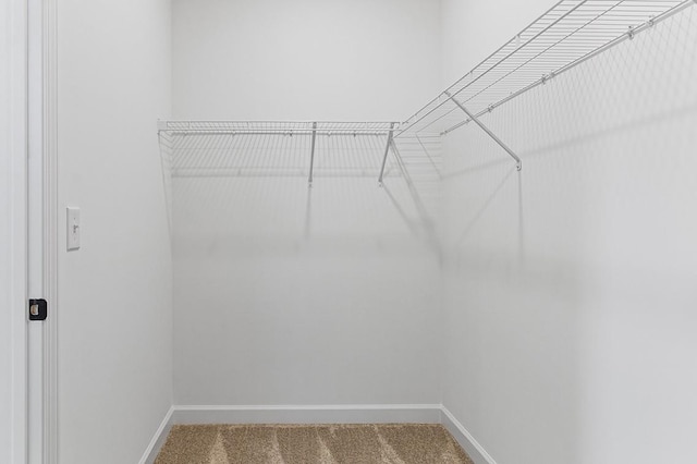 8547 Turnbull Dr, Pleasant View, TN 37146 - spacious closet with carpet flooring