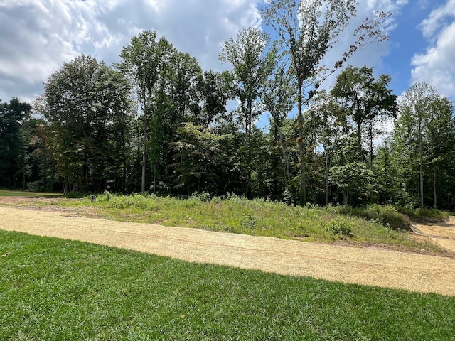 8547 Turnbull Dr, Pleasant View, TN 37146 - view of yard featuring a view of trees