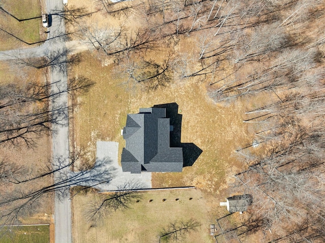 10015 Charleston Dr, Lyles, TN 37098 - bird's eye view