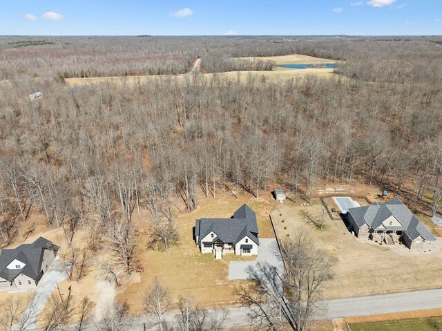 10015 Charleston Dr, Lyles, TN 37098 - aerial view