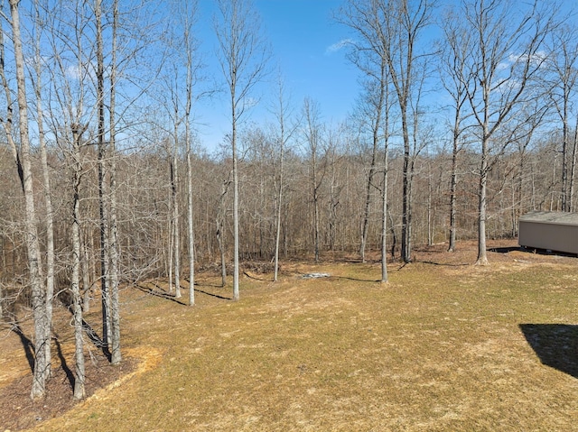 10015 Charleston Dr, Lyles, TN 37098 - view of yard featuring a wooded view