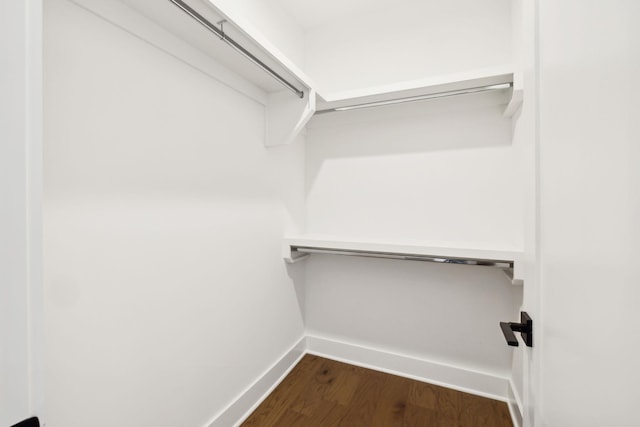 112 Shadow Springs Dr, Brentwood, TN 37027 - walk in closet with dark wood finished floors