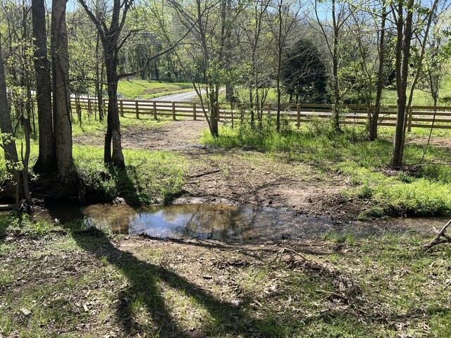 0 Preacher Holt Rd, Mount Pleasant, TN 38474