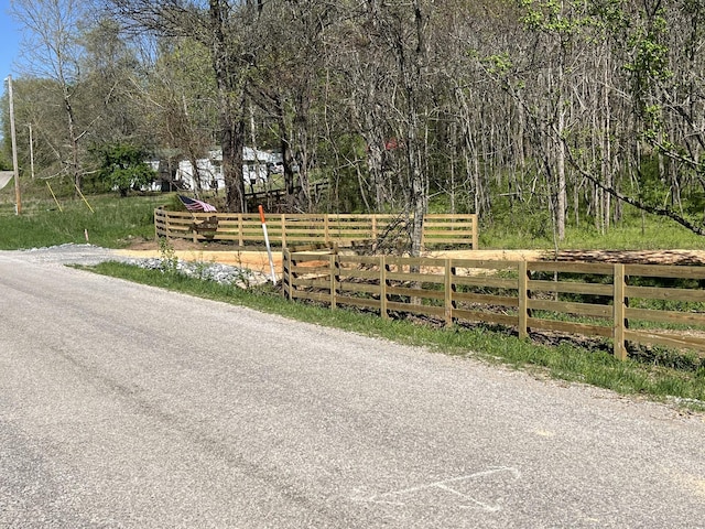 0 Preacher Holt Rd, Mount Pleasant, TN 38474