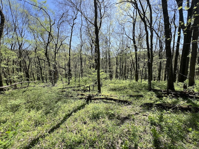 0 Preacher Holt Rd, Mount Pleasant, TN 38474