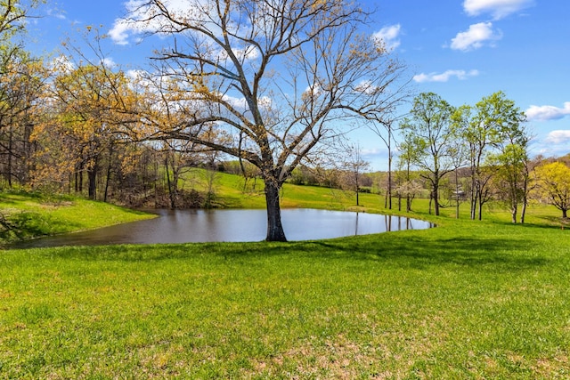 185 Thompson Rd, Dickson, TN 37055 - photo 33