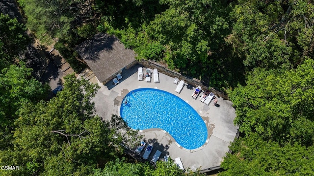 view of swimming pool