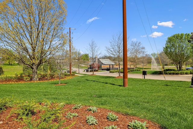 9213 Liza Ct, Brentwood, TN 37027 - photo 10
