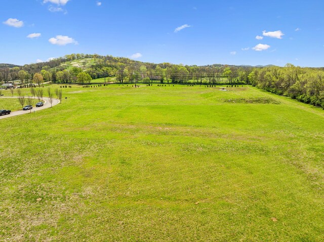 9213 Liza Ct, Brentwood, TN 37027 - photo 15