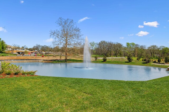 9213 Liza Ct, Brentwood, TN 37027 - photo 7
