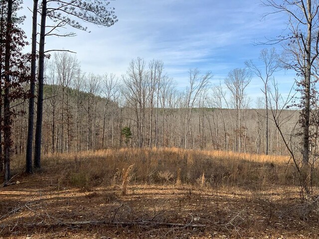 2340 Bear Hollow Dr, Waverly, TN 37185