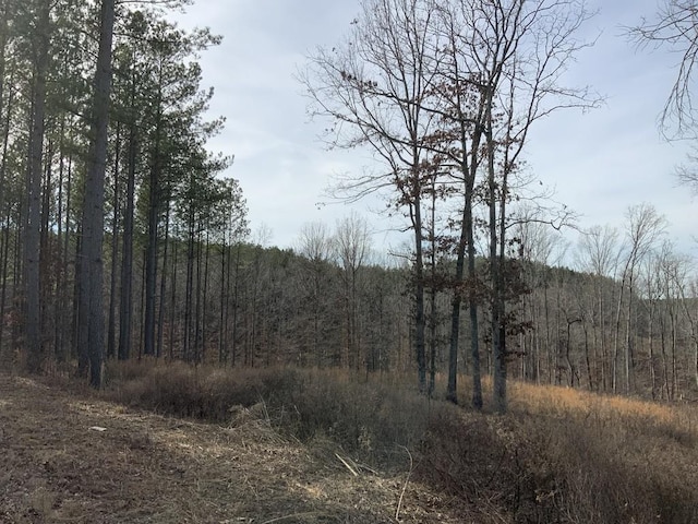 2340 Bear Hollow Dr, Waverly, TN 37185