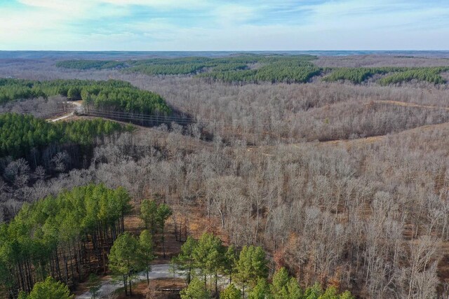 2340 Bear Hollow Dr, Waverly, TN 37185